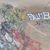 2025-311-The-Level-Skateboard-Park