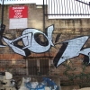 Graf-12-50