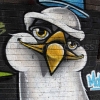 Graf15-172