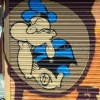 Craf18113