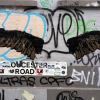 Graf18-194