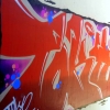Graf18-295