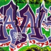 Graf18-314