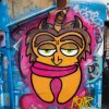 Graf2021_228