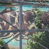 Graf2021_328