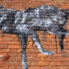 Graf2021_363